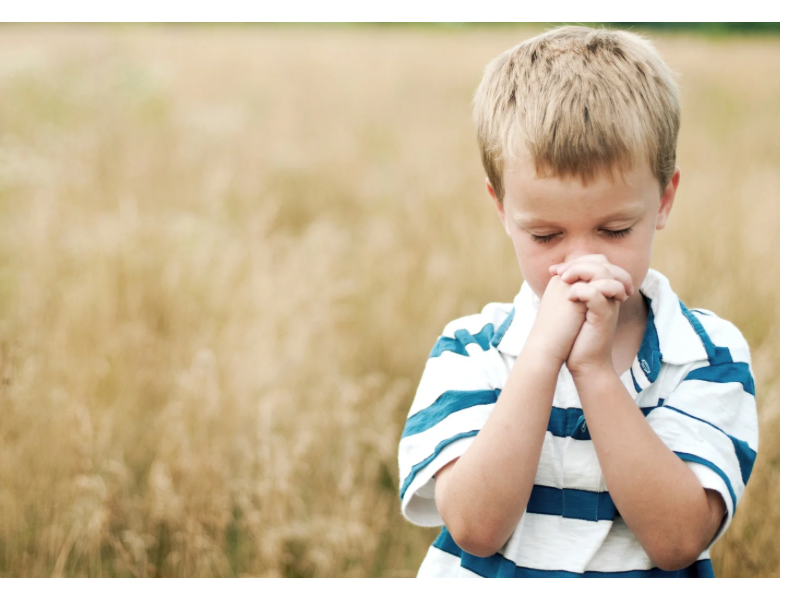 A little boy with hand together praying