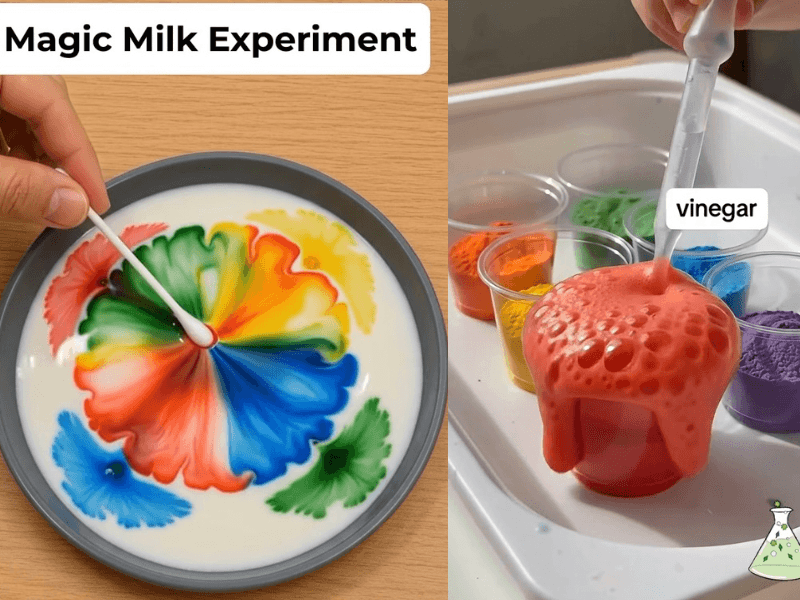 diy-science-activities