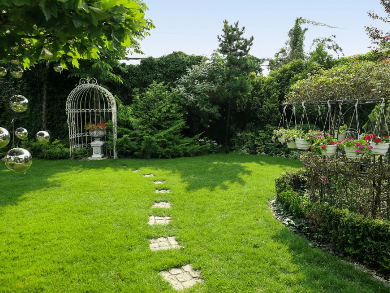maintained-backyard