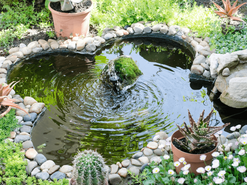 garden-water-feature