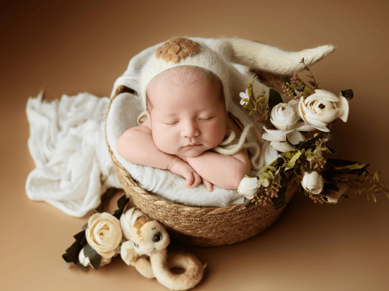 baby-photo-shoot